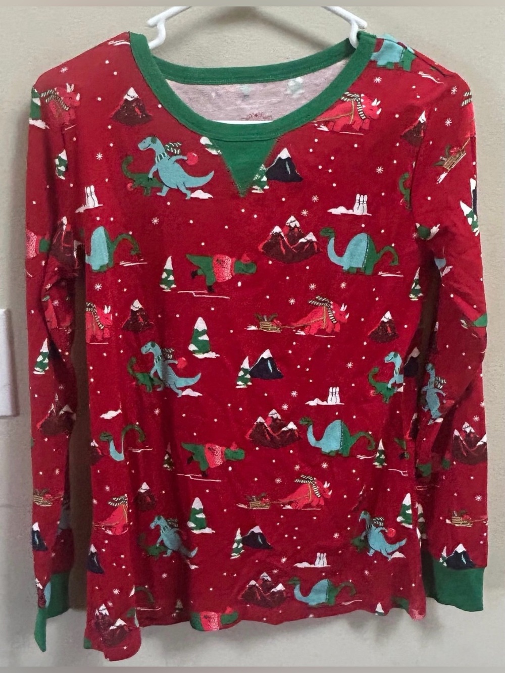 Winter dinosaur pajamas